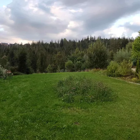 Prymulka * Zakopane